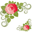 Rose and curls. Vector.