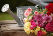 bouquet d'oeillets et arrosoir bouquet d'oeillets et arrosoir