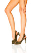 Legs