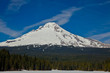 View of snow capped mount with forest in foreground