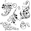 Floral Scroll Ornaments