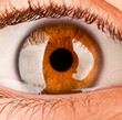 eye