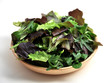 Insalata gran mix, valeriana, rucola, lattughino