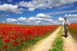 Young woman on a bicycle Young woman on a bicycle