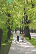 Girl and boy walking park Girl and boy walking park