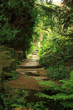 View to the secret garden View to the secret garden