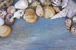 Marco de conchas