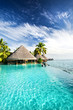Infinity pool with palms and tropical ocean Infinity pool with palms and tropical ocean