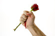 Hand holding red rose with blood from thorns Hand holding red rose with blood from thorns