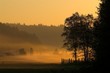 Sonnenaufgang in der Pfalz