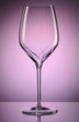 Wine glass