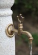 Königlicher Wasserhahn
