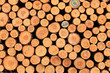 cut trees 3