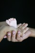 petit pied dans les mains de ses parents