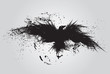 raven single