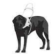 seeing-eye dog