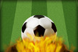 Football on Fire