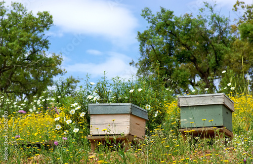 Photo: Bee houses at Portugal. Bee houses at Portugal.