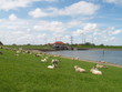 Maadesiel im Frühling