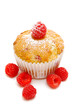 raspberry muffin isolated