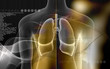 Human body and  lungs