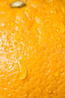 macro shot of orange fruit with water drops
