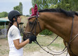 ragazza con il cavallo ragazza con il cavallo