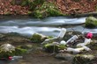 Water pollution