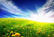 Beautiful Spring landscape Beautiful Spring landscape