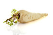 fresh parsnip over white background