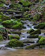 Foto: Der Bach Der Bach
