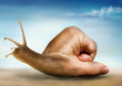 Surreal snail