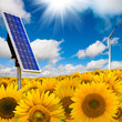 Solar panel and wind turbine Solar panel and wind turbine
