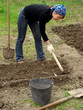 spring gardening