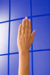 Hand, Arm