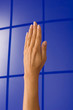 Hand, Arm