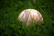 Old Baseball in the Grass Old Baseball in the Grass