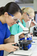 Female Scientific Research Team Using Microscopes in Laboratory