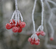 Winterimpressionen