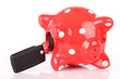 Sparschwein