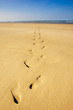 traces