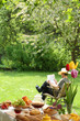 Breakfast in the garden.