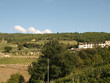 Villa in Tuscany amongst vineyards and an olive groves