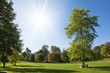Summer park