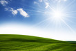 Sun and field