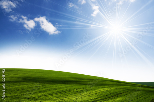 Foto: Sun and field Sun and field