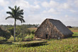 Tabakhaus