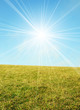 Sunny day