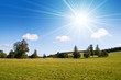 Summer countryside