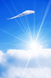 Kite in sky
